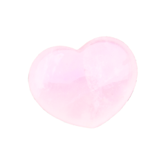 tier image