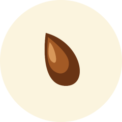 tier image