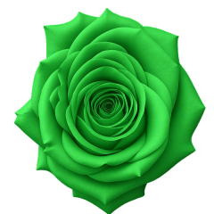 tier image