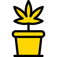 tier image