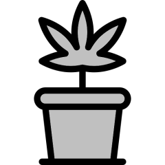 tier image